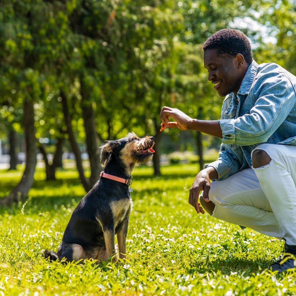 animal training center in Syracuse
